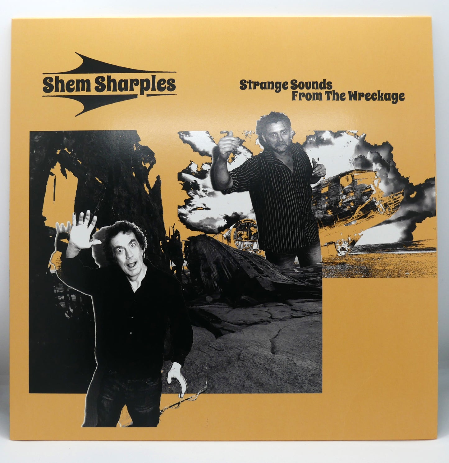 Strange Sounds From The Wreckage - Vinyl LP